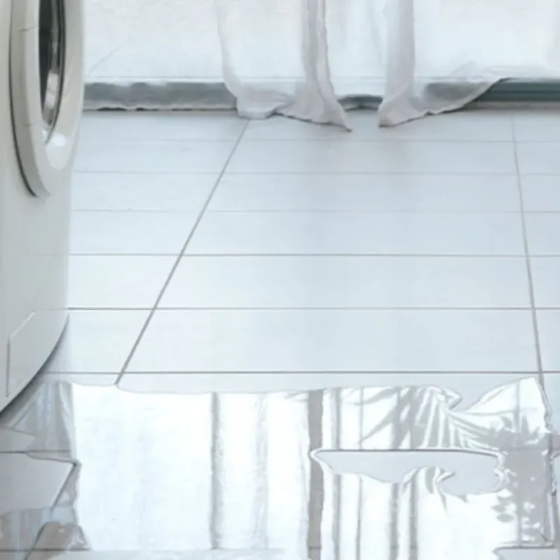 Appliance Leak Cleanup in Wyandotte County, KS