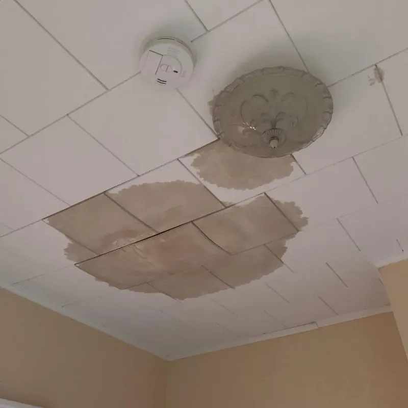 Ceiling Water Damage Repair in Wyandotte County, KS