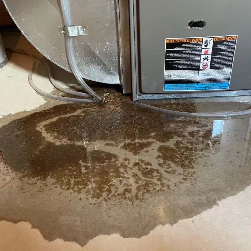 Pipe Burst and Leak Restoration in Wyandotte County, KS