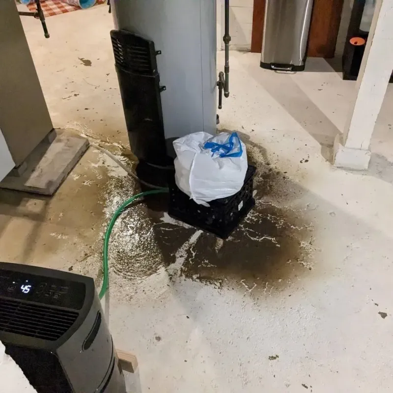 Sewage Backup Cleanup Service in Wyandotte County, KS